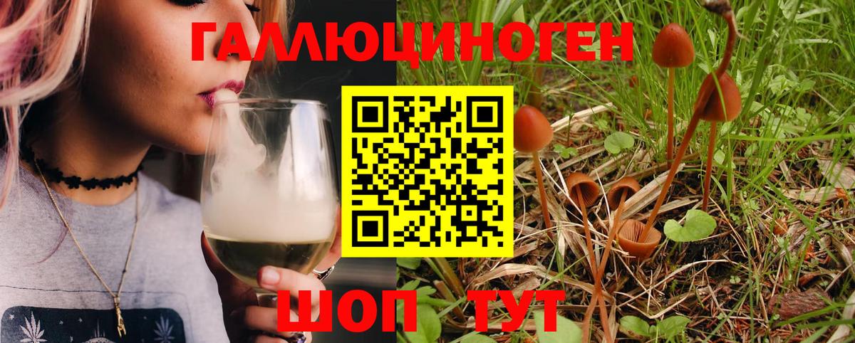 Псилоцибиновые грибы Magic Shrooms Волжский